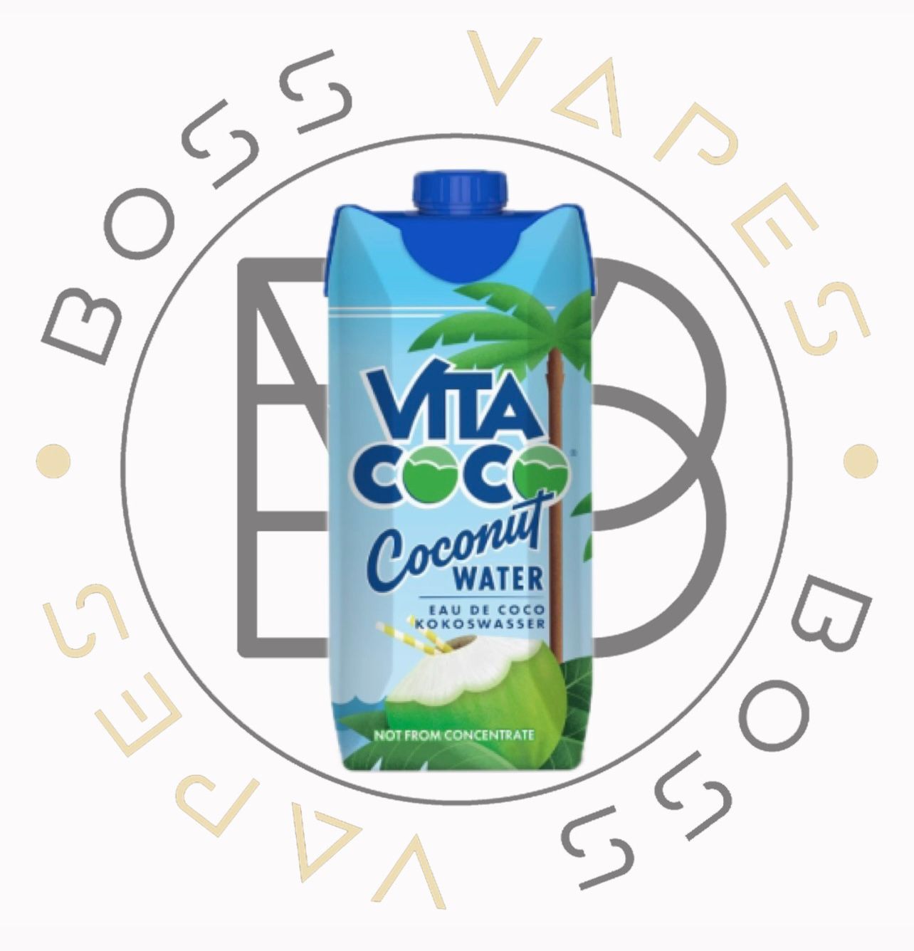 Vita Coconut Water  (330ML)