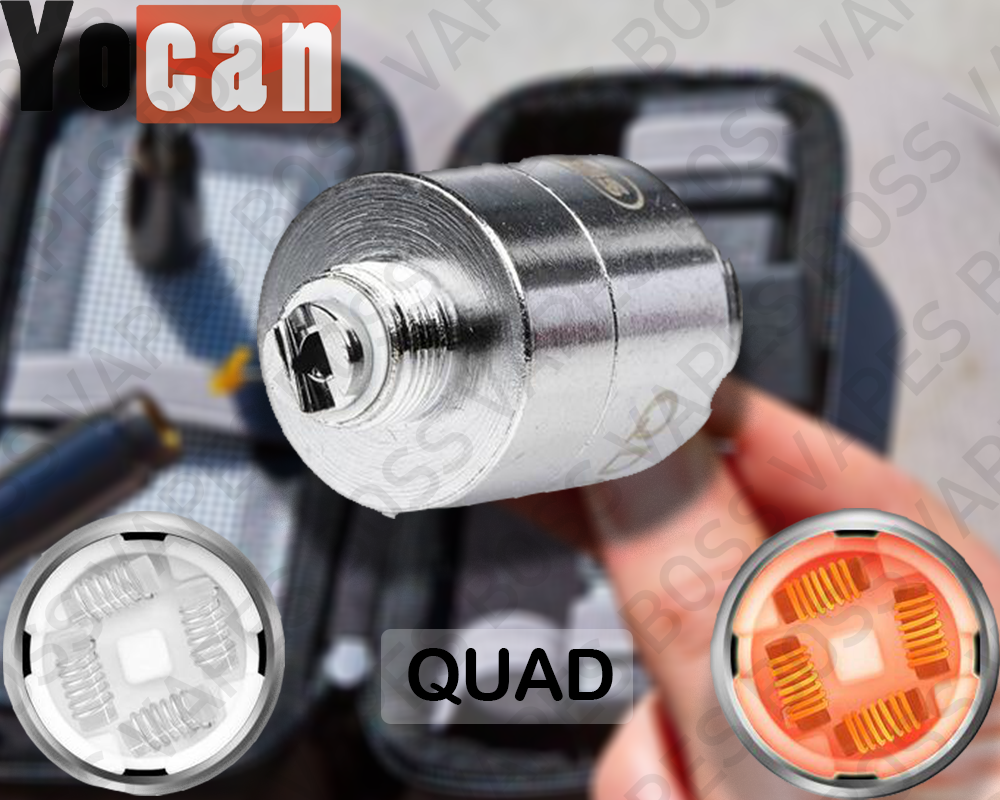 Evolve Plus Coil - Priced Individually - Boss Vapes